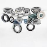 Insert Ball Bearing with Plastic Pillow Blocks for Chemical/Food Industries Ucf204 Ucf205 Ucf207 Ucf208 Ucf209 Ucf210